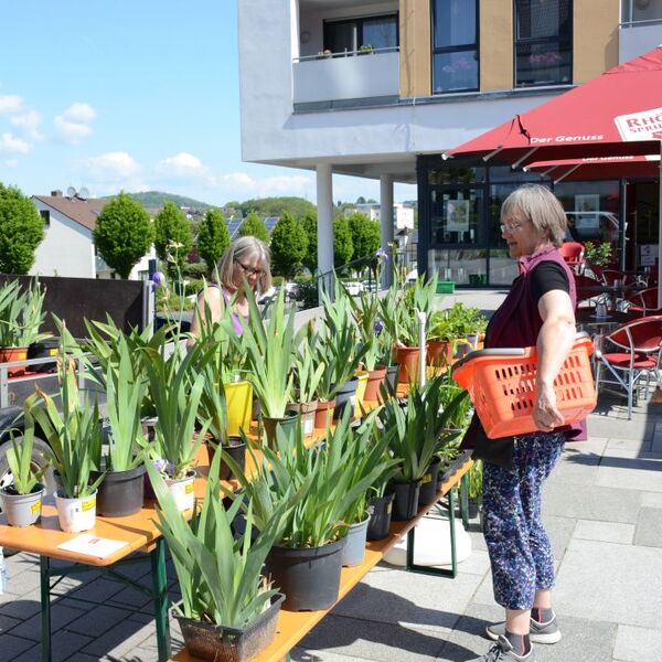 2. Künzeller Pflanzenbörse 2024 Foto 3