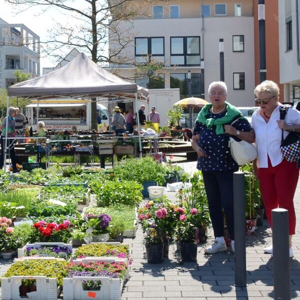 2. Künzeller Pflanzenbörse 2024 Foto 4