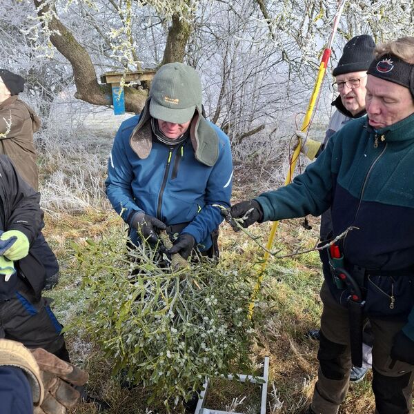 Lehrgang Obstbaumschnitt im Januar 2025 11