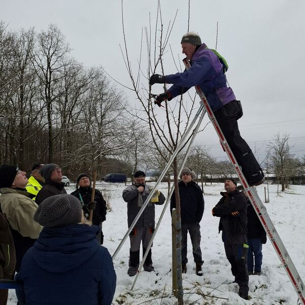 Lehrgang Obstbaumschnitt im Januar 2025 3