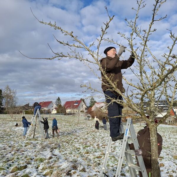 Lehrgang Obstbaumschnitt im Januar 2025 6