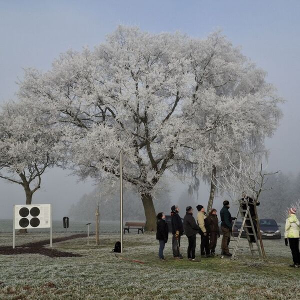 Lehrgang Obstbaumschnitt im Januar 2025 8