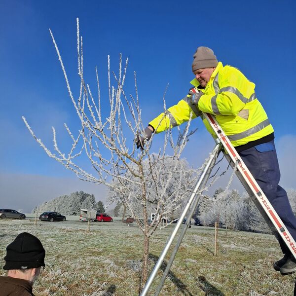 Lehrgang Obstbaumschnitt im Januar 2025 9